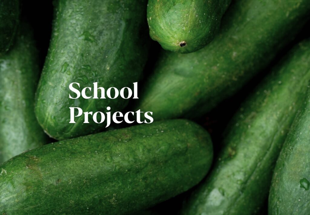 Cucumber Background School Projects