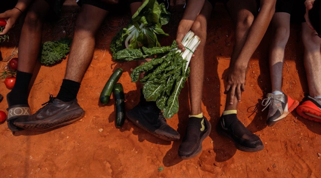 Students showing spinach and zucchini