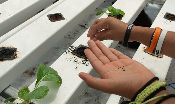 Ungarra: Impact beyond the school gate